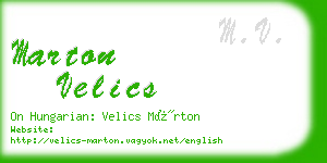 marton velics business card